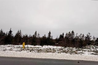 Commercial Land for Sale, 50 Beaumont Hamel Way, St John's, NL