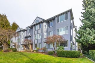Condo for Sale, 1378 Fir Street #104, White Rock, BC Condo for Sale, 1378 Fir Street #104, White Rock, BC