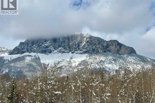 Property for Sale, 830230 Highway 1x, Rural Bighorn No. 8, M.D. of, AB