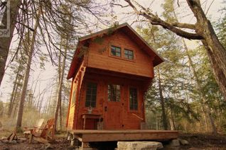 Property for Sale, 81 High Falls Road, Assiginack, ON