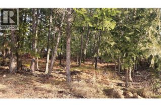 Property for Sale, 938 23 Highway, Nakusp, BC