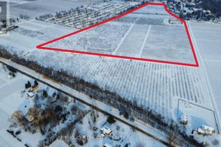 Commercial Farm for Sale, Pt Lts 2 6&7 Rp 30r3068 Part 1, Niagara-on-the-Lake (Queenston), ON