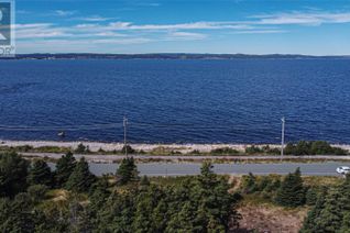 Commercial Land for Sale, 309-311 Seal Cove Road, Conception Bay South, NL