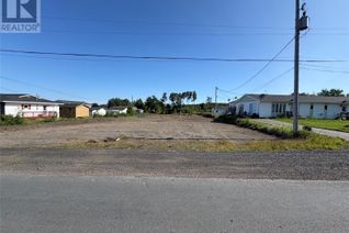 Land for Sale, 226 Main Street, Embree, NL