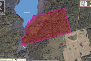 Land for Sale, N/A Tobin Road, Elmwood, NB Land for Sale, N/A Tobin Road, Elmwood, NB