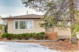 Property for Sale, 8639 64 Av Nw Nw, Edmonton, AB