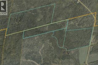 Property for Sale, Lot 0 East Irish Settlement Road, Irish Settlement, NB
