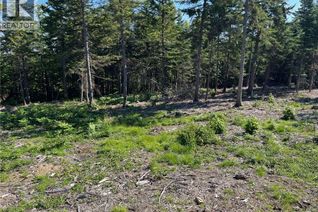 Land for Sale, 2021-1 Trailside Lane, Central Hainesville, NB