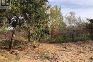 Commercial Land for Sale, 1380 Westport Road, Frontenac (Frontenac South), ON