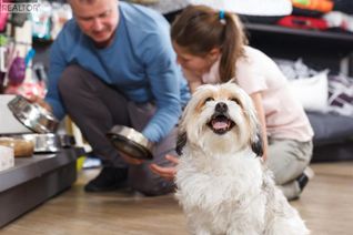 Pet & Supplies Non-Franchise Business for Sale, 123 Pet Store Way, Edmonton, AB