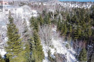 Land for Sale, 12 Dragonfly Lane, Herring Cove, NS Land for Sale, 12 Dragonfly Lane, Herring Cove, NS
