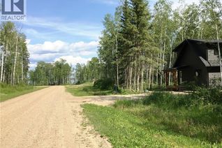 Commercial Land for Sale, 25 Wilson Crescent, Big River Rm No. 555, SK