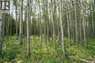 Commercial Land for Sale, 84 Township Road 722 #lot 3, Ran, Wembley, AB