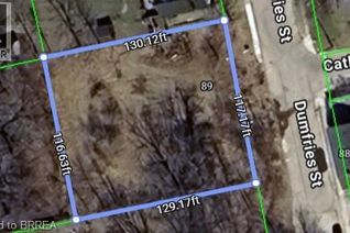 Property for Sale, 89 Dumfries Street, Paris, ON