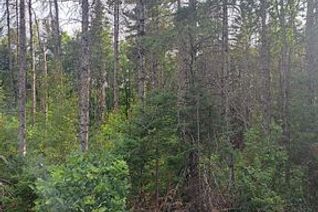 Vacant Residential Land for Sale, N/A Cordova Rd, Marmora and Lake, ON