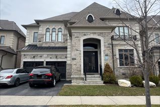 Apartment for Rent, 26 Cloverhaven Rd #Bsmt, Brampton, ON