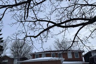 Detached House for Rent, 58 Braidwood Lake Road, Brampton (Northwest Sandalwood Parkway), ON