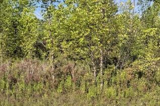 Property for Sale, Lot 5 Montrose Road, Niagara Falls (Schisler), ON