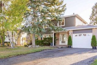 Property for Rent, 12 Gondola Crescent #Basement, Brampton (Northgate), ON Property for Rent, 12 Gondola Crescent #Basement, Brampton (Northgate), ON