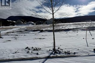 Commercial Land for Sale, 437 Lily Avenue, Nordegg, AB