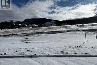 Land for Sale, 441 Lily Avenue, Nordegg, AB