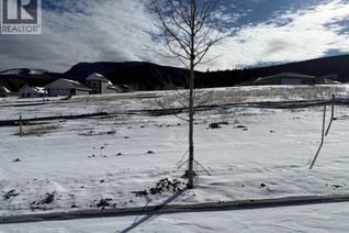 Commercial Land for Sale, 449 Lily Avenue, Nordegg, AB