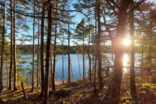 Property for Sale, Lot 28 Helmuts Lane, Cleveland, NS