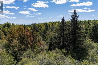 Commercial Land for Sale, Lot 79-9 De La Traverse, Saint-Paul, NB