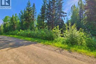 Commercial Land for Sale, 2096 Blacklock Road, Quesnel, BC