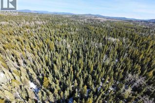 Land for Sale, Dl2743 Beaver Forest Service Road, Prince George, BC