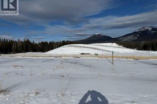 Commercial Land for Sale, 412 Lily Avenue, Nordegg, AB