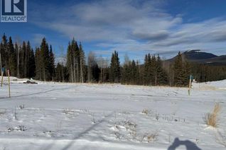 Commercial Land for Sale, 436 Lily Avenue, Nordegg, AB