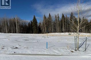 Commercial Land for Sale, 464 Lily Avenue, Nordegg, AB