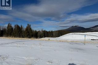 Commercial Land for Sale, 420 Lily Avenue, Nordegg, AB