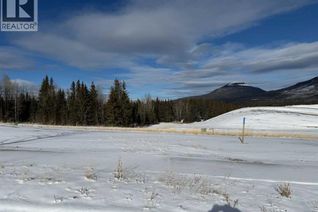 Commercial Land for Sale, 424 Lily Avenue, Nordegg, AB