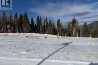Commercial Land for Sale, 448 Lily Avenue, Nordegg, AB