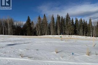 Commercial Land for Sale, 460 Lily Avenue, Nordegg, AB