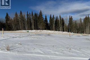 Commercial Land for Sale, 452 Lily Avenue, Nordegg, AB