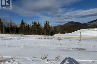 Commercial Land for Sale, 428 Lily Avenue, Nordegg, AB