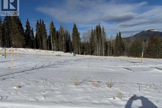 Commercial Land for Sale, 444 Lily Avenue, Nordegg, AB