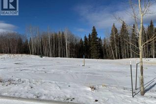 Commercial Land for Sale, 468 Lily Avenue, Nordegg, AB
