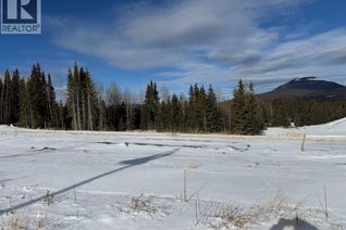 Commercial Land for Sale, 432 Lily Avenue, Nordegg, AB