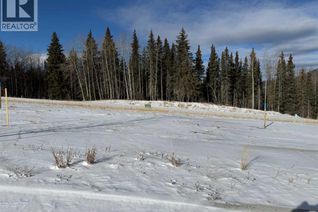 Commercial Land for Sale, 456 Lily Avenue, Nordegg, AB