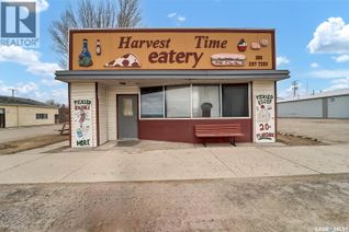 Commercial/Retail Property for Sale, 113 Railway Avenue W, Watson, SK