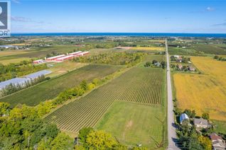 Commercial Farm for Sale, 3811 King Street, Beamsville, ON