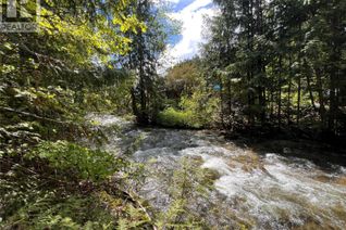 Property for Sale, 611 Slocan Street, Slocan, BC