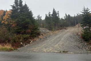 Property for Sale, 95-97 Deans Road, Witless Bay, NL Property for Sale, 95-97 Deans Road, Witless Bay, NL