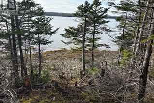 Land for Sale, Lot # 03 Smith Sound Road, HARCOURT, NL