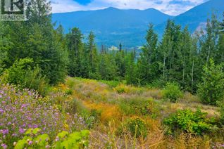 Property for Sale, 421 Mountain View Drive, Balfour, BC