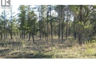 Commercial Land for Sale, Rec Lot 4/2, Hudson Bay Rm No. 394, SK